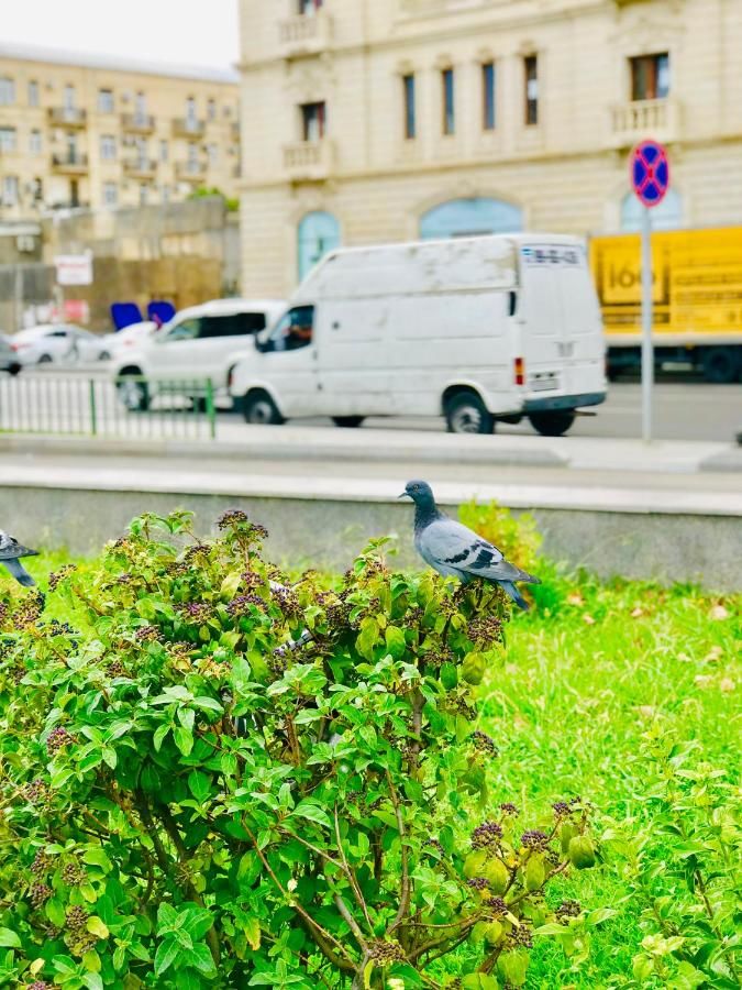 Хостелы The Punjab Residency Баку-14