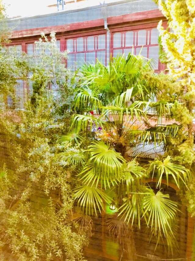 Хостелы The Punjab Residency Баку-31