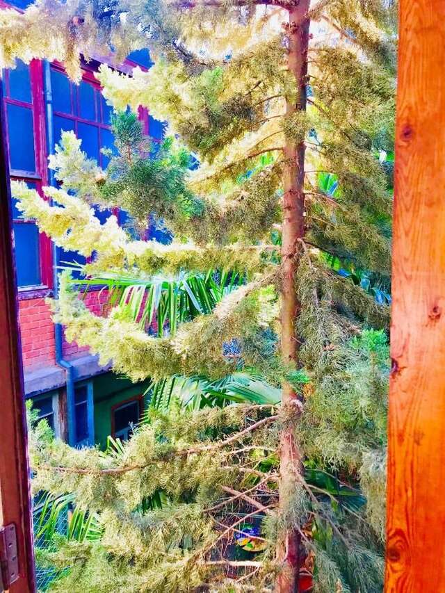 Хостелы The Punjab Residency Баку-33